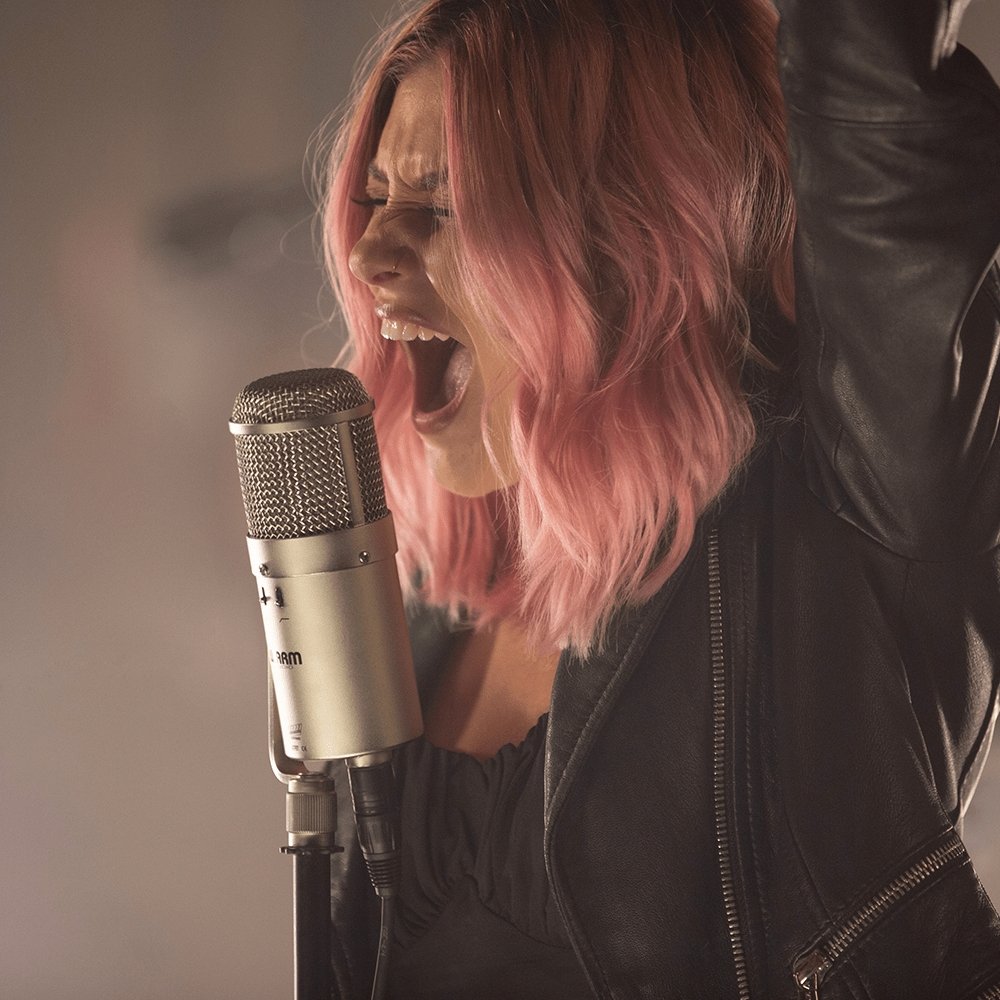 Alternative view of Warm Audio WA-47F Large-diaphragm FET Condenser Microphone