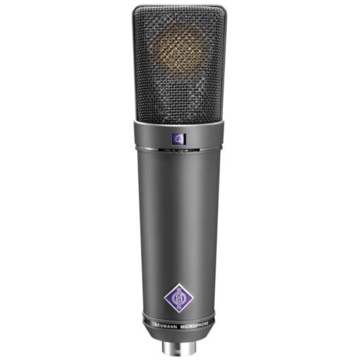 Neumann U 89 i mt Large diaphragm multi-pattern condenser studio microphone