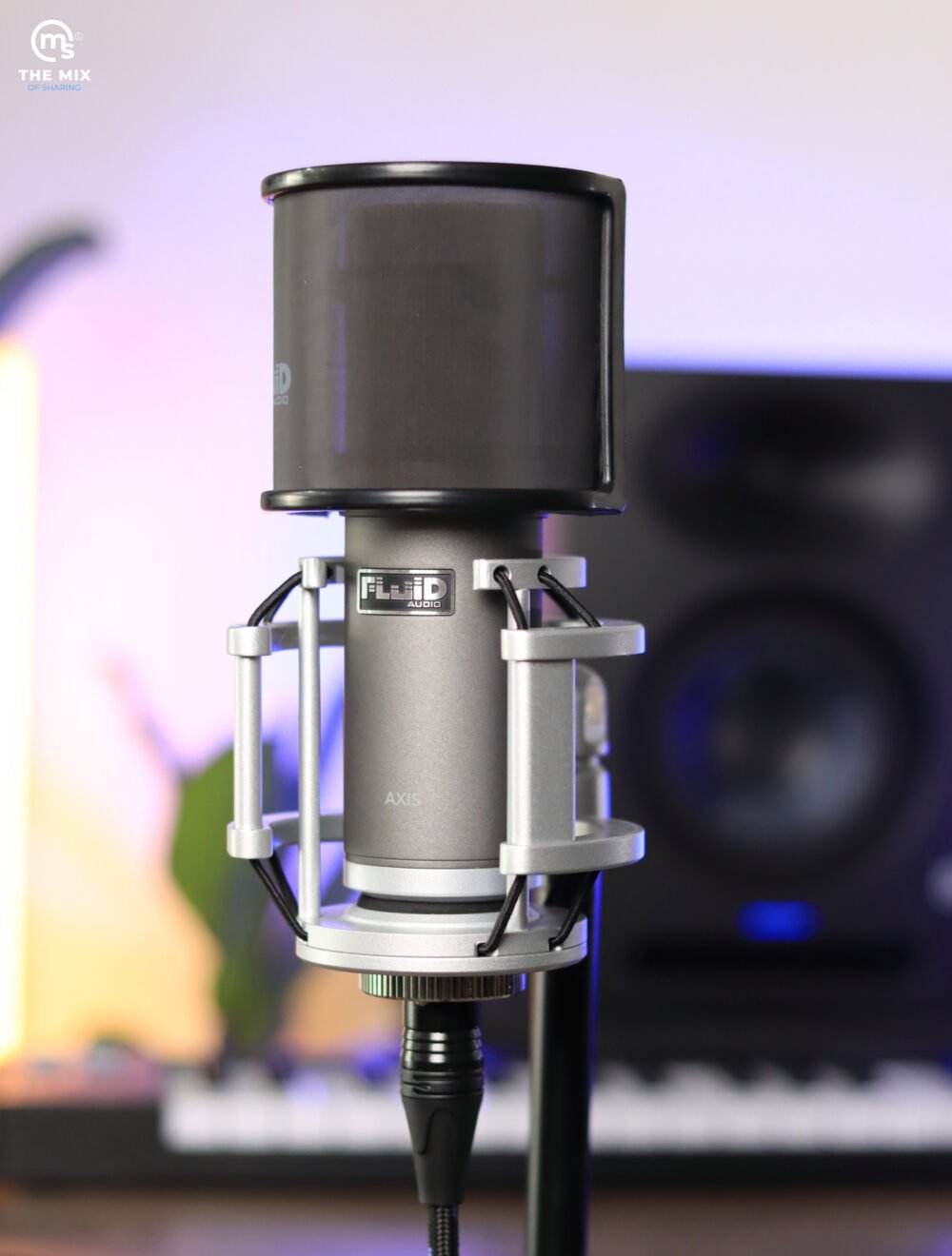 Alternative view of FLuiD Audio Axis Condenser Microphone
