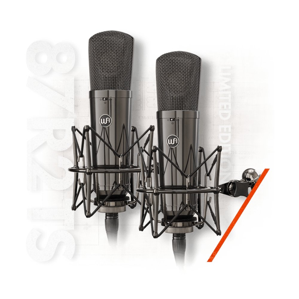 Warm Audio WA-87 R2 TS Titanium Stereo Pair