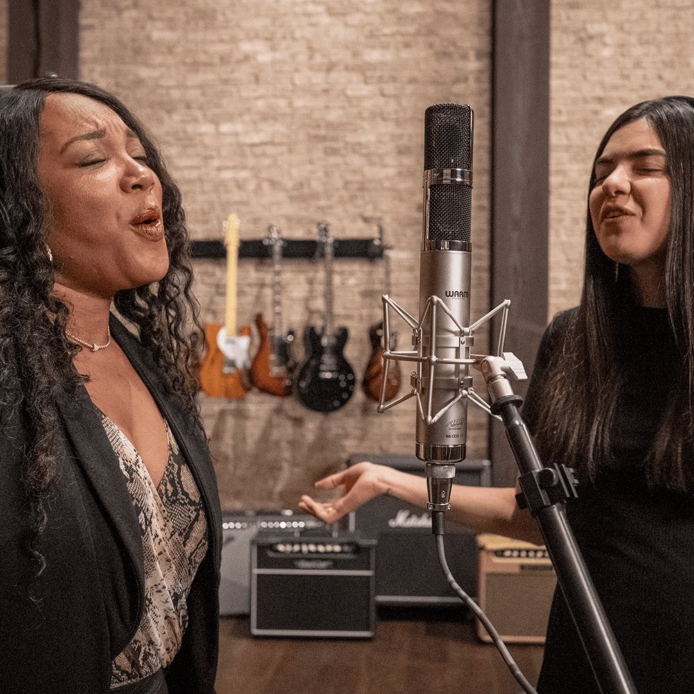 Alternative view of Warm Audio WA-CX24 Large-Diaphragm Stereo Tube Condenser Microphone