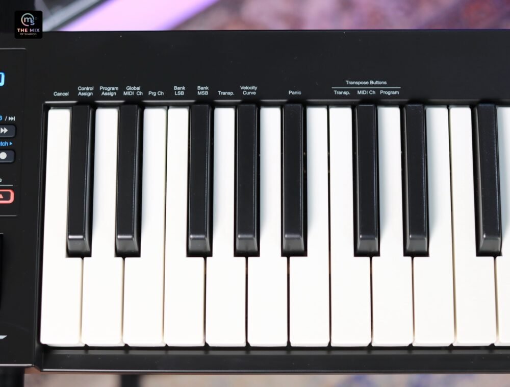 Nektar Impact GX49 Keyboard Controller - Image 6