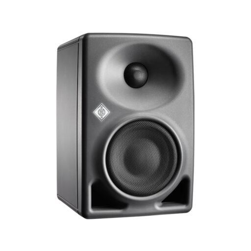 Neumann KH 80 Monitor