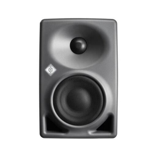 Alternative view of Neumann KH 80 Monitor