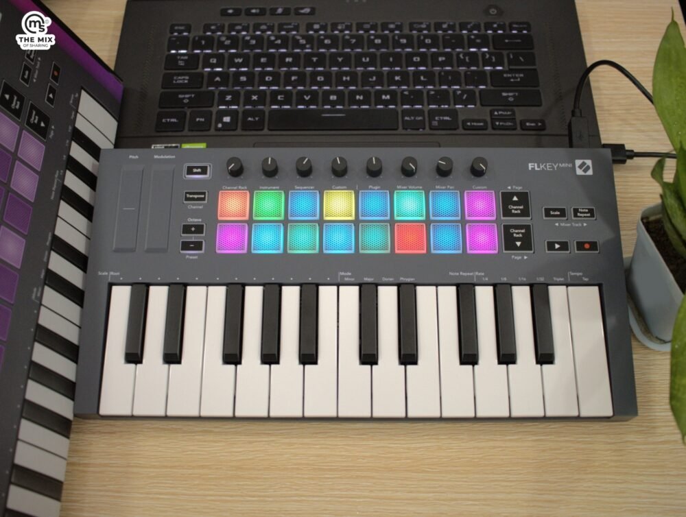 Novation FLKey Mini Keyboard Controller for FL Studio - Image 3