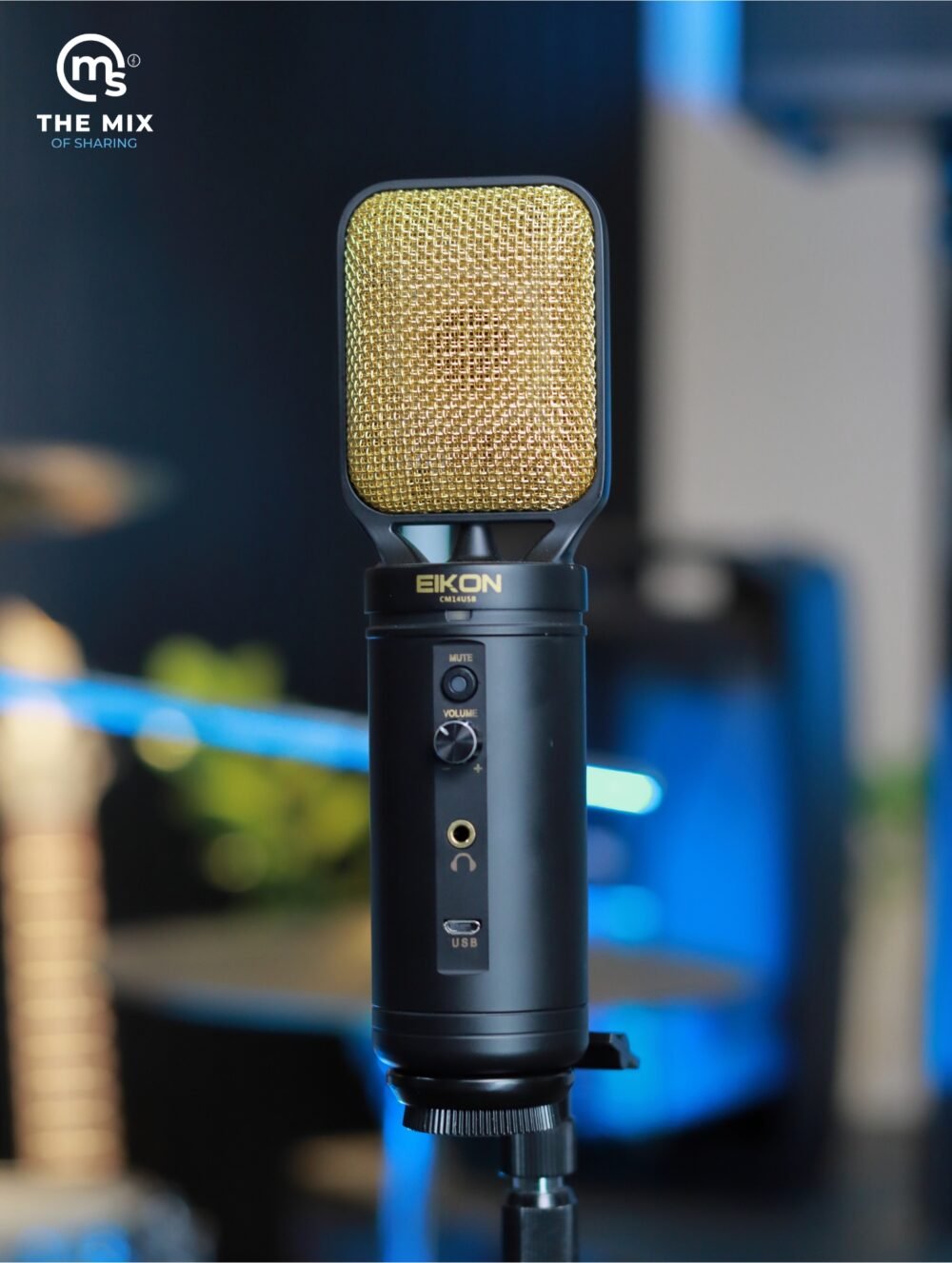 Eikon CM14USB USB + XLR Condenser Studio Microphone with USB Interface (Black & Gold) - Image 3