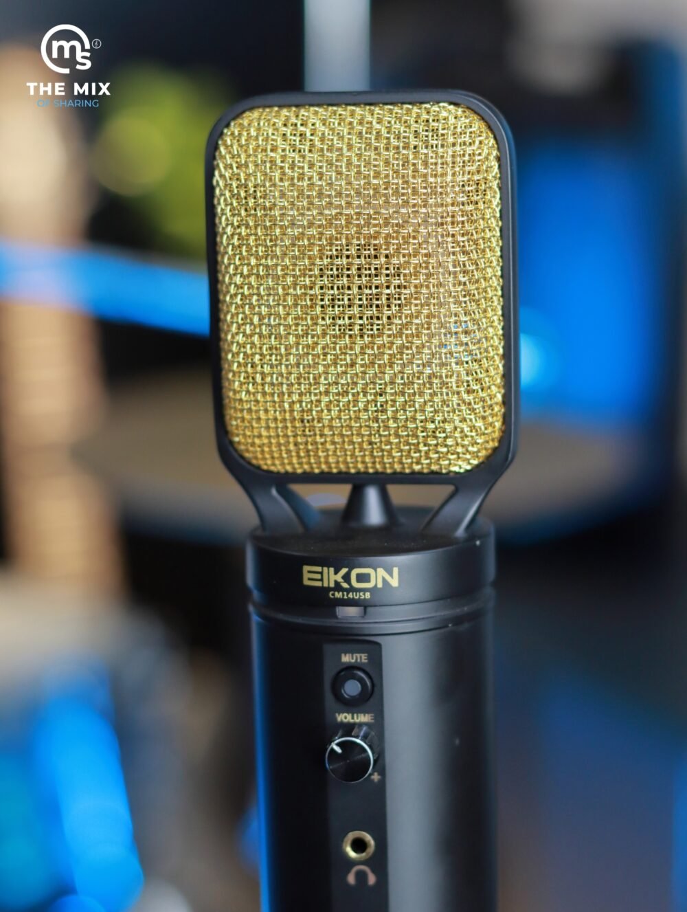 Eikon CM14USB USB + XLR Condenser Studio Microphone with USB Interface (Black & Gold) - Image 5
