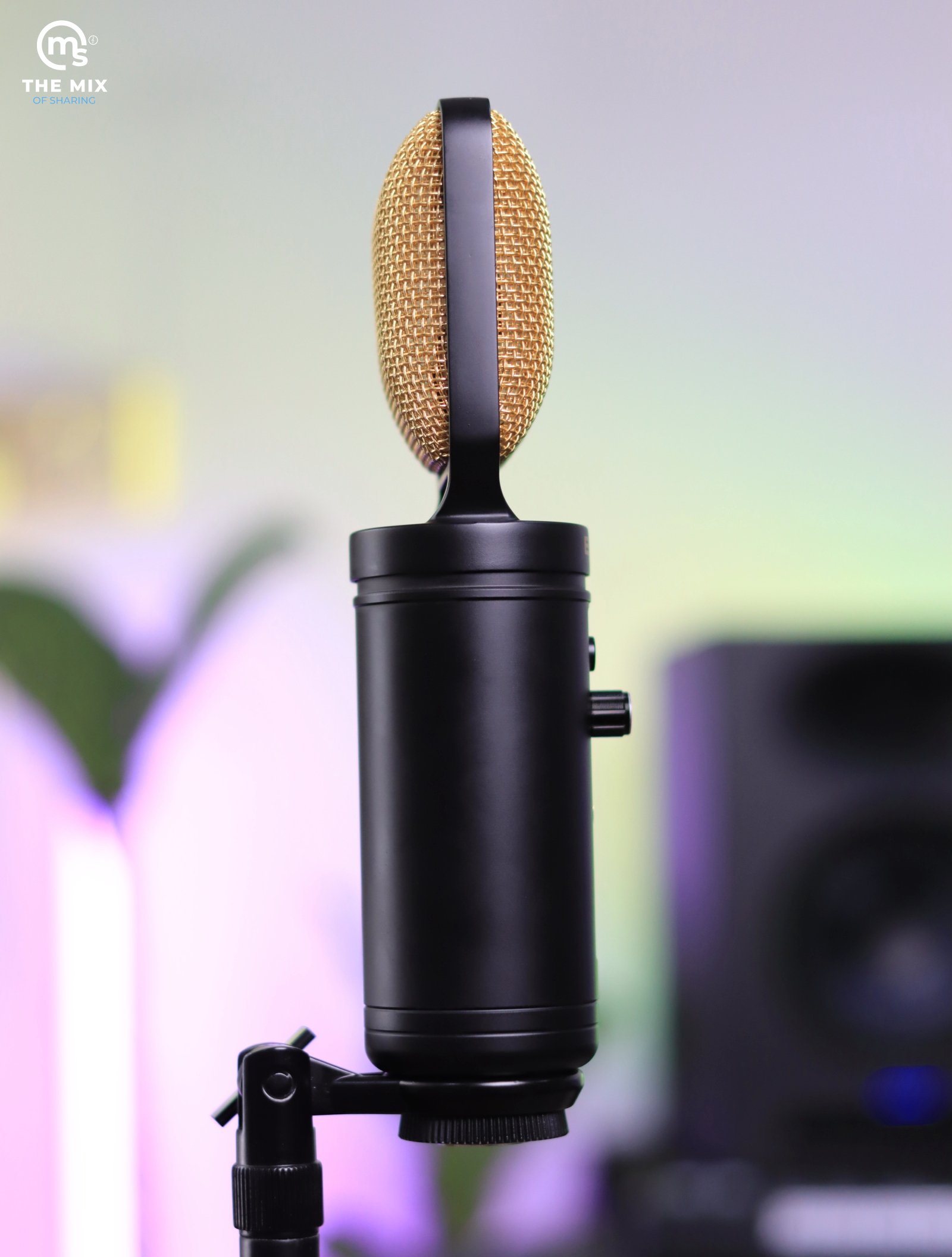 Eikon CM14USB USB + XLR Condenser Studio Microphone with USB Interface (Black & Gold) - Image 4