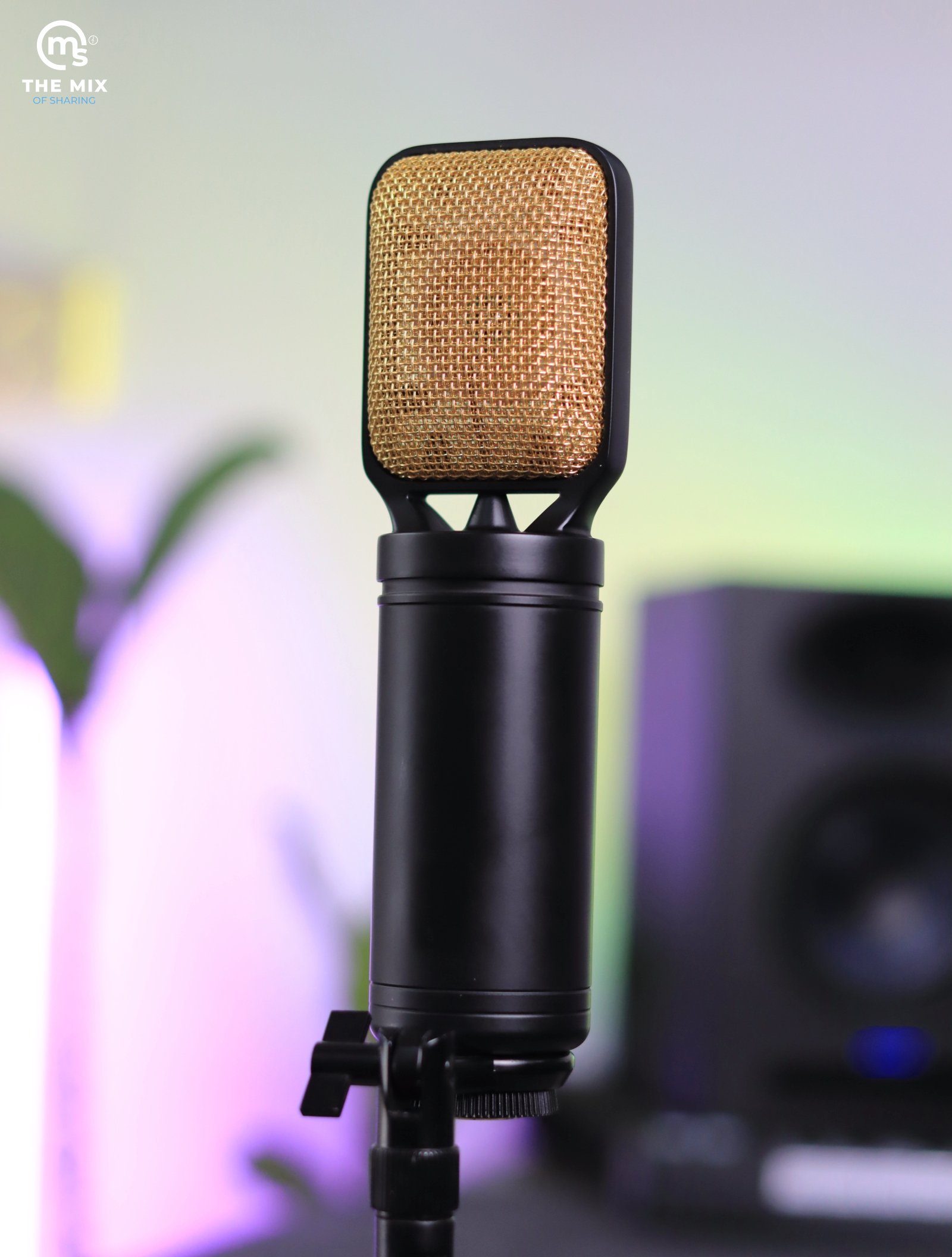 Eikon CM14USB USB + XLR Condenser Studio Microphone with USB Interface (Black & Gold) - Image 6