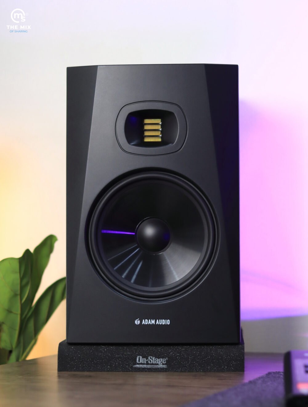 ADAM Audio T8V 8-inch Powered Studio Monitor - Pair - Image 3