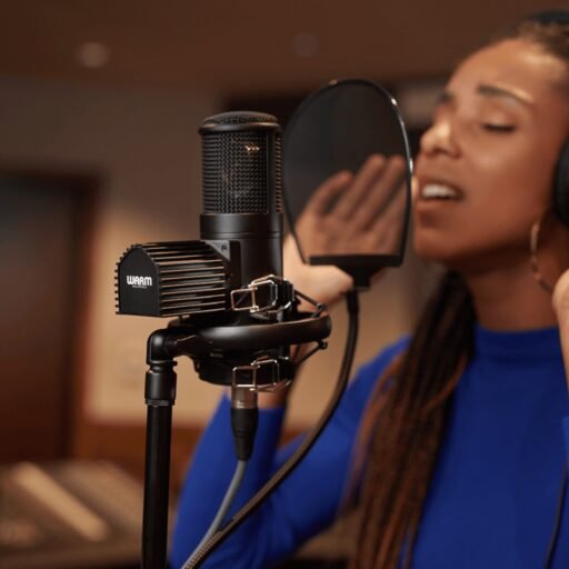 Alternative view of Warm Audio WA-8000 Large-Diaphragm Tube Condenser Microphone