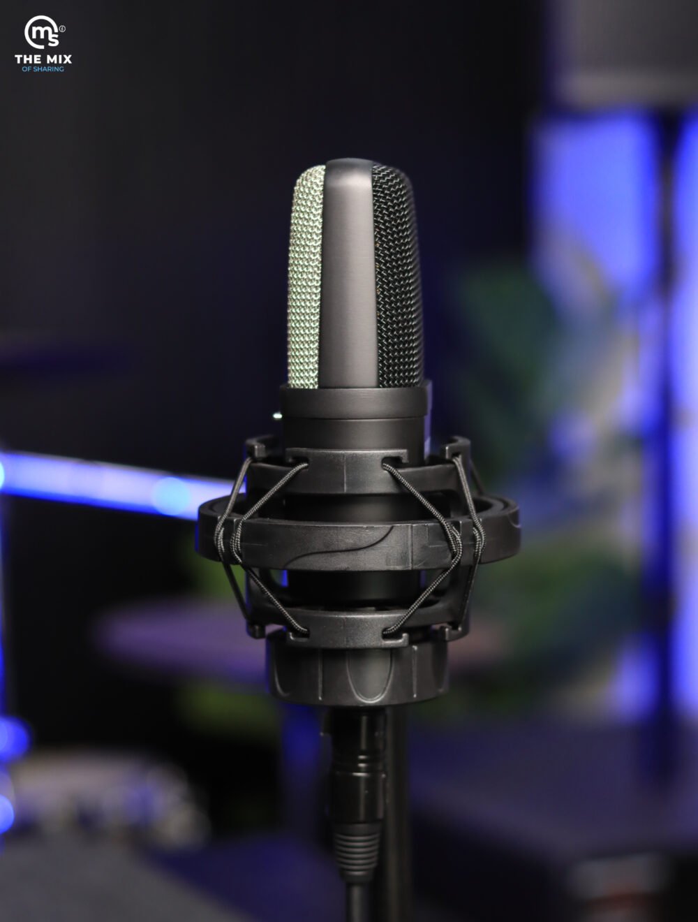 Warm Audio WA-14 Condenser Microphone - Image 6