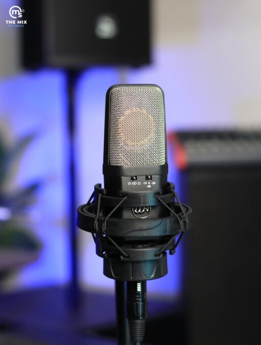Alternative view of Warm Audio WA-14 Condenser Microphone