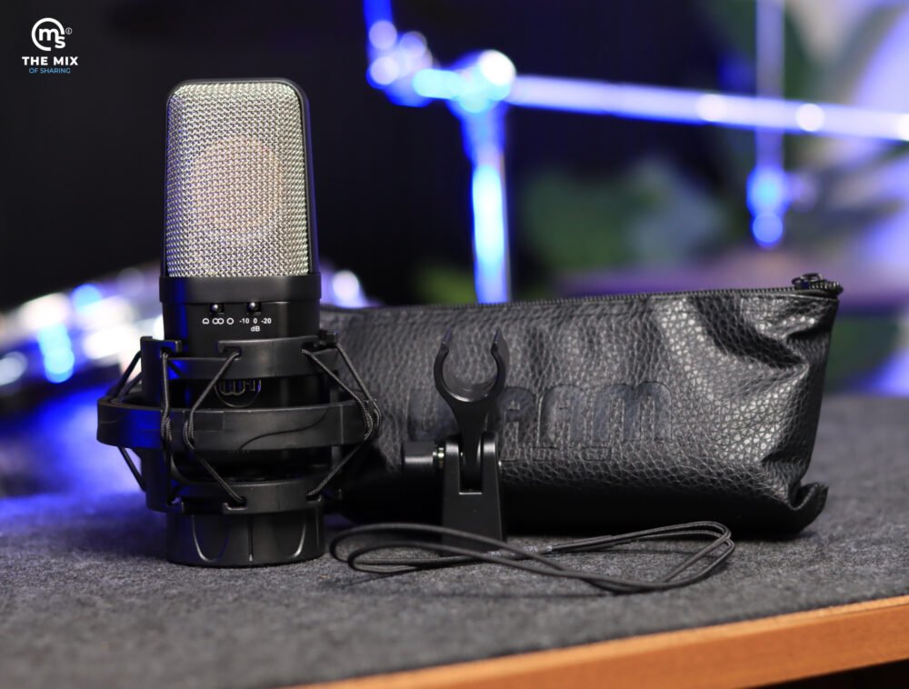 Warm Audio WA-14 Condenser Microphone - Image 8