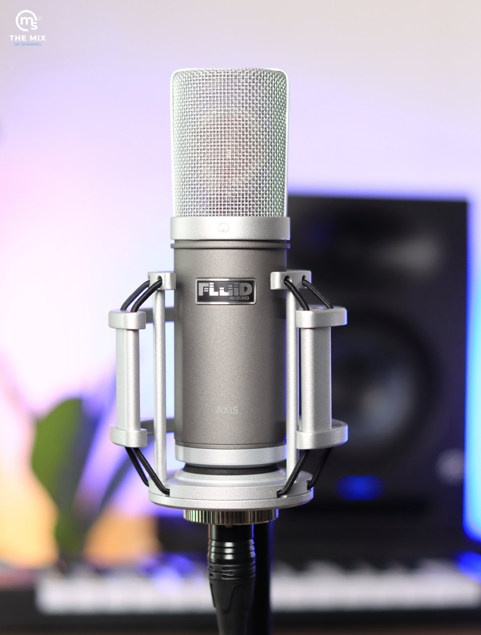 FLuiD Audio Axis Condenser Microphone - Image 6