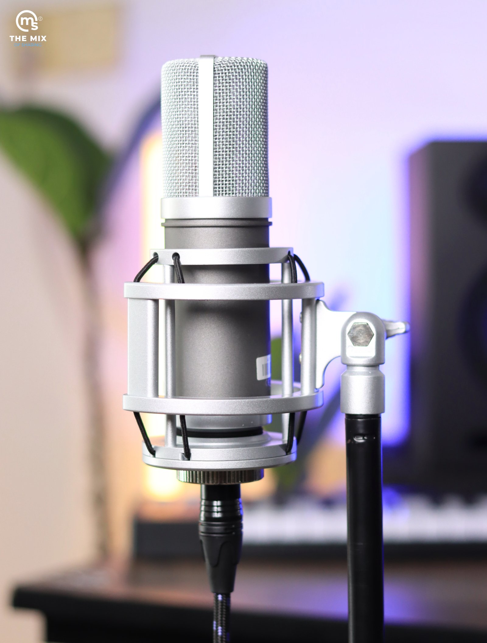 FLuiD Audio Axis Condenser Microphone - Image 4