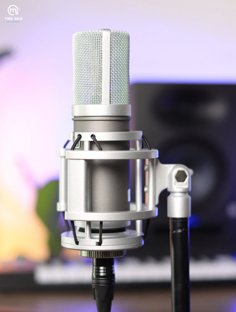 FLuiD Audio Axis Condenser Microphone - Image 5