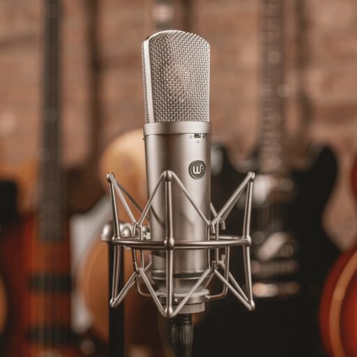 Alternative view of Warm Audio WA-87 R2-Nickel Large-Diaphragm FET Condenser Microphone