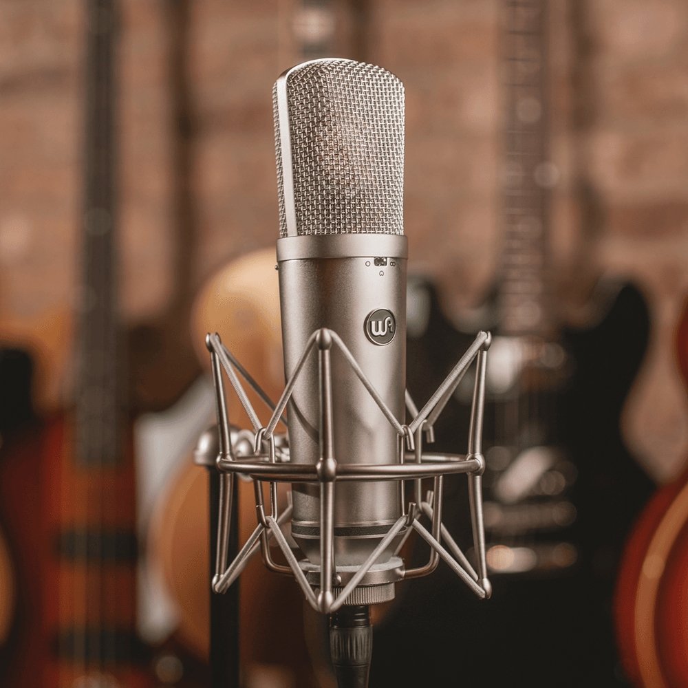 Alternative view of Warm Audio WA-87 R2-Nickel Large-Diaphragm FET Condenser Microphone