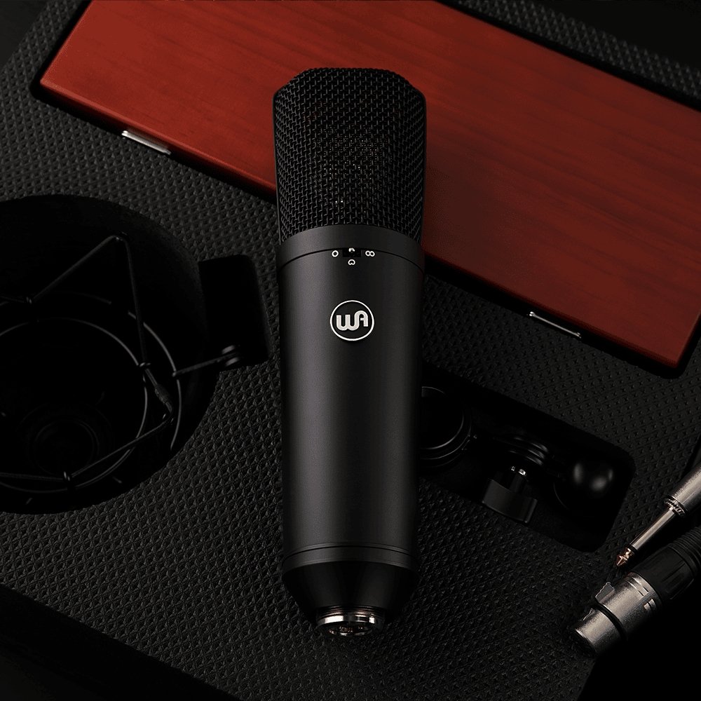Alternative view of Warm Audio WA-87 R2-Black FET Condenser Microphone
