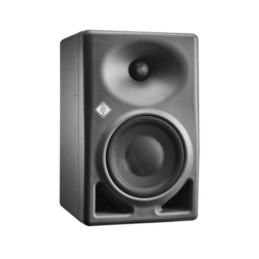 Neumann KH 120 Monitor