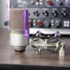 MXL 990 Condenser Microphone –  (Used, Fair Condition)