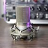 MXL 990 Condenser Microphone – (Used, Fair Condition) - Image 2